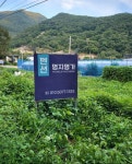 명지명가