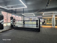 이지더복싱클럽