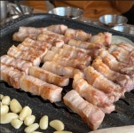 정지안