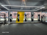 이지더복싱클럽