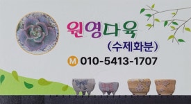 원영다육수제화분