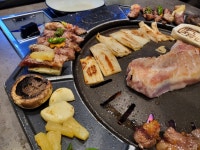 고원집