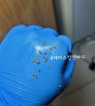 제이스킨앤바디 대구상인점