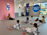 국가대표사랑태권도