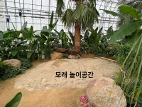 꽃필무렵