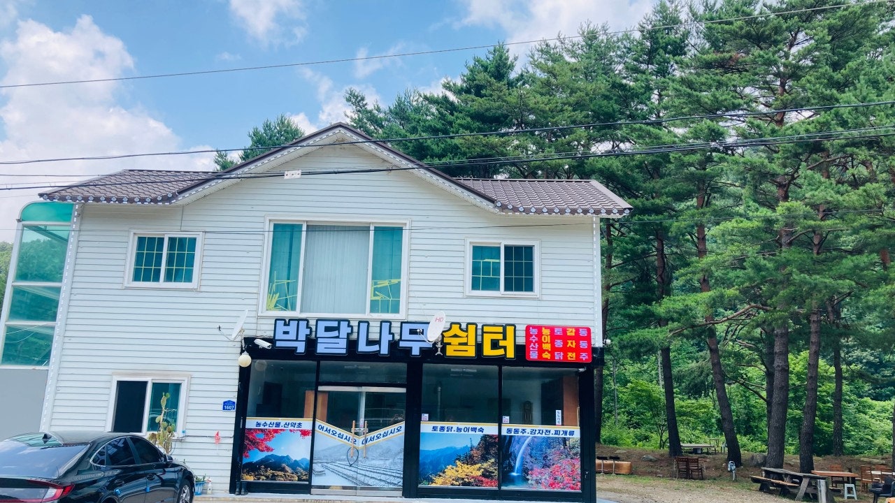 박달나무쉼터