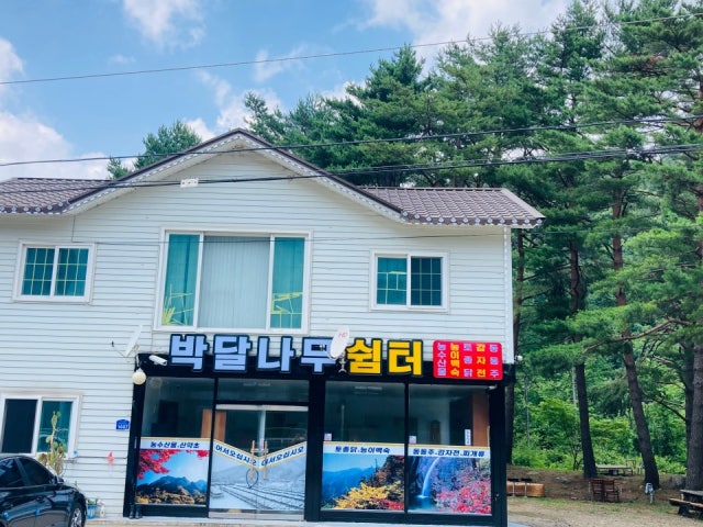 박달나무쉼터