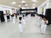 국가대표준태권도장