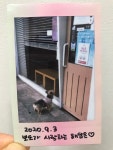 해담은동물병원