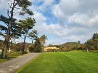 알펜시아700골프클럽