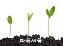 마음연정신분석심리상담 | 정신분석심리상담IPC센터