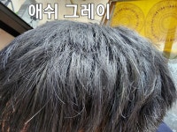 헤어수노아 | 동행