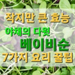 가락시장 한일농원