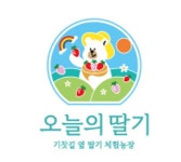 오늘의딸기