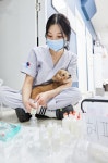 24시 성심 동물 메디컬 센터