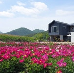 경주 제이제이갤러리카페펜션