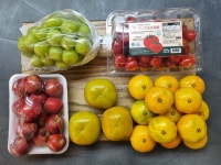 프로과일러