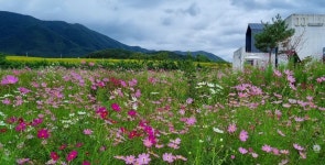 경주 제이제이갤러리카페펜션