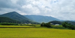 경주 제이제이갤러리카페펜션