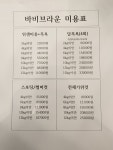 바비브라운 비숑프리제