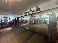 아나토미 스트랭스