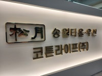 송월타올우산 코튼라이프