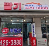 선사현대딸기공인중개사사무소