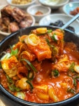 도야집
