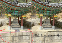 진칼라사진관