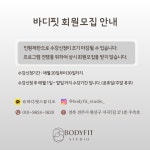 바디핏