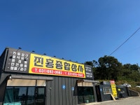 진흥종합상사