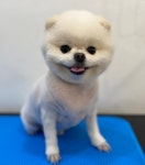 란이네멍살롱