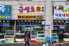 금성호회수산
