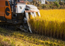 경주교촌도가 영농조합법인