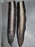 풍천민물장어 온산덕신점
