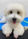 란이네멍살롱