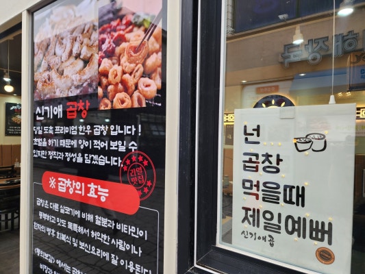 신기애곱