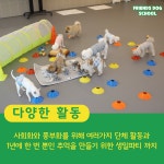 프렌즈도그 유치원 광주 서구점