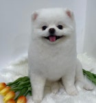 란이네멍살롱