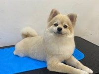 란이네멍살롱