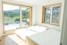 스테이도화