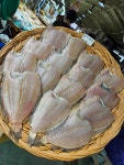 흥진수산