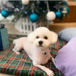 누리개
