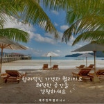 제주반짝클리너스