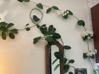 카페프리헷 춘천두산위브점