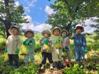 또래어린이집