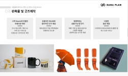 다나플랜