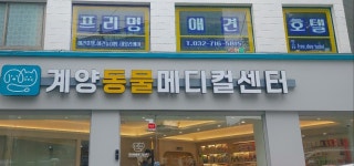 프리멍 애견호텔