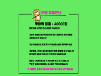 고양이살롱앤카페