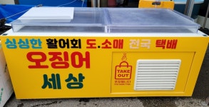 오징어세상